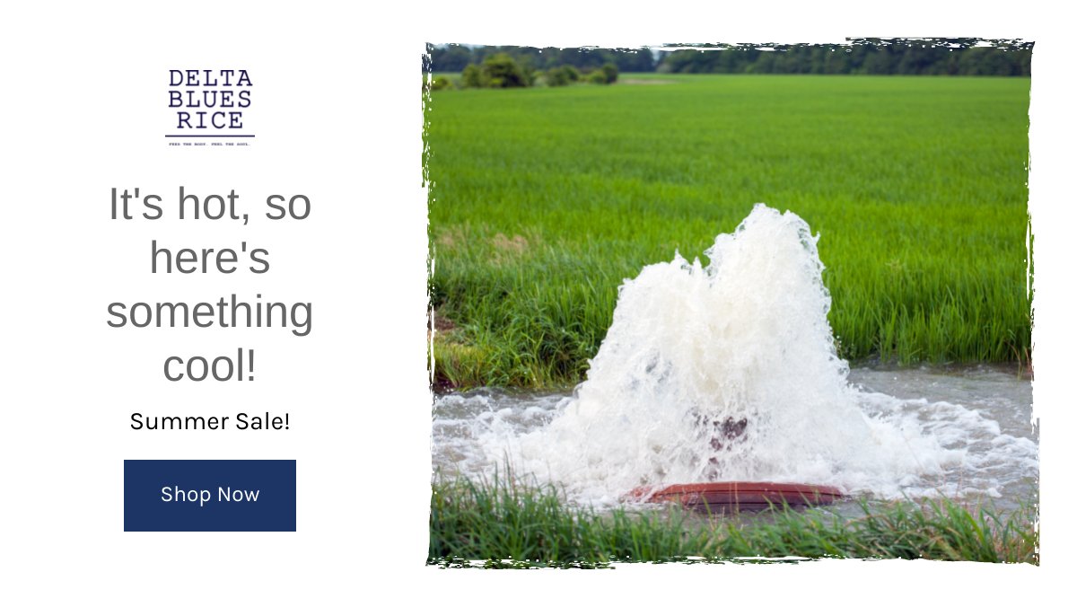 It's hot so here is something cool - mailchi.mp/b6676c28e78a/i… 15% off sale