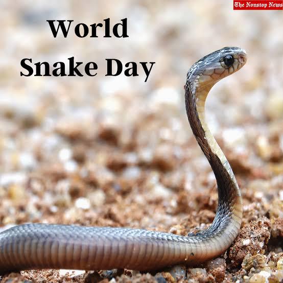 DCFNARMADA tweet media