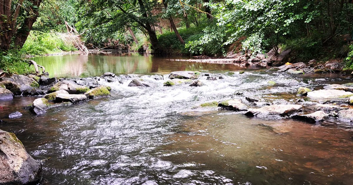 bachlaeufer's tweet photo. What's the way up? After two exciting weeks with small and big surprises 🐟🎥 the equipment was already well integrated in the river 😅
#migramp #sohlengleite #fischwanderung #fishmigration #blockramp #tubraunschweig #lwiwasserbau
@tuBraunschweig @umweltstiftung https://t.co/EnLHYsa7vu