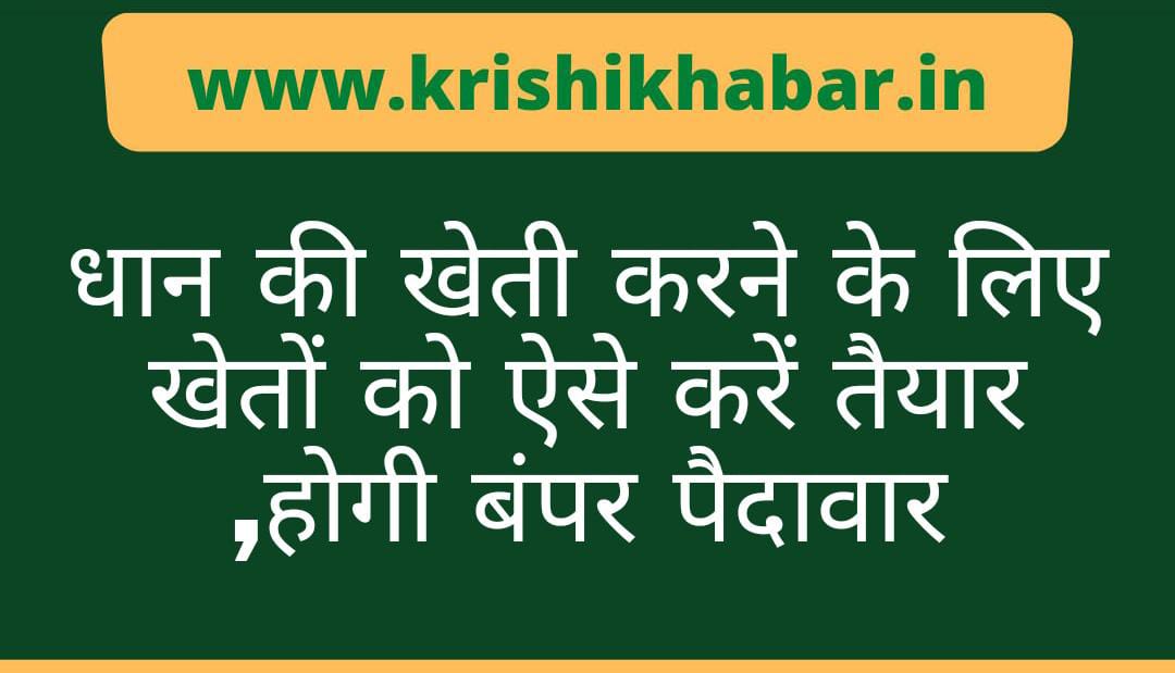 thekrishikhabar's tweet photo. धान की खेती करने के लिए खेतों को ऐसे करें तैयार ,होगी बंपर पैदावार
https://t.co/9DBFHjUnhC
#agricultural #agriculture #farming #krishikhabar #nextresource https://t.co/bP2HJ3oMpu