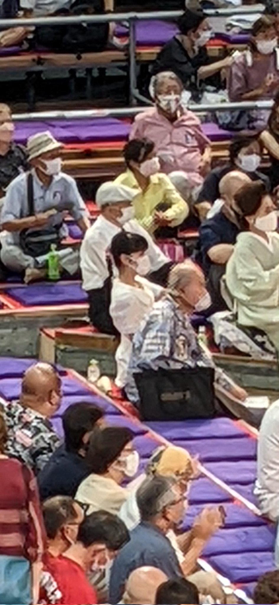 22年9月秋場所 溜席の妖精の今日は 画像付きで出席チェック あの人は今