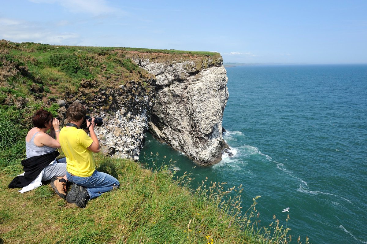 In light of the avian flu outbreak we're asking members of the public not to take access through seabird colonies for the rest of the breeding season to limit spread of the virus and give colonies the best possible opportunity of survival &amp; recovery by reducing additional stress.
