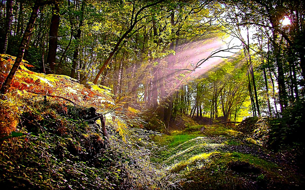 Sometimes you find yourself in the middle of nowhere, and sometimes in the middle of nowhere, you find yourself. #Nature #NaturePhotography