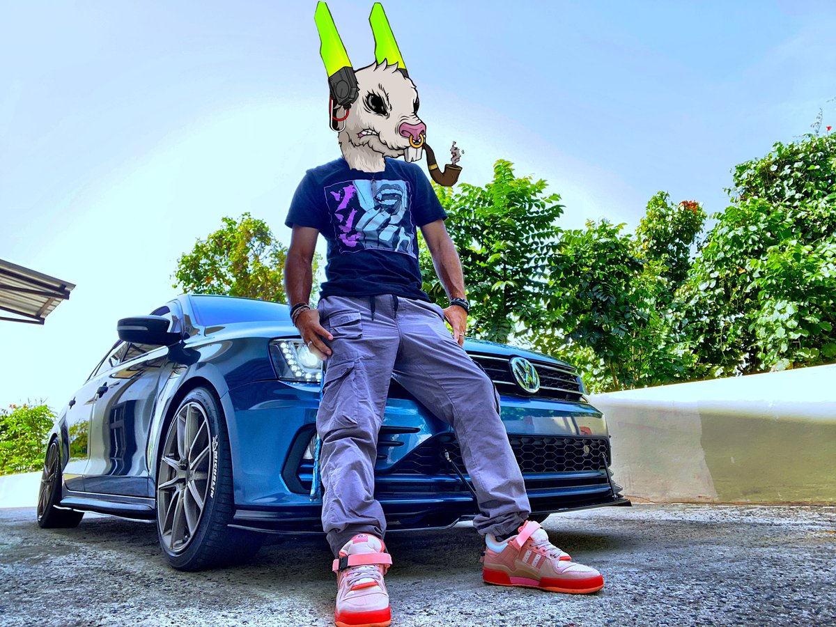 GexPR's tweet photo. Supremes are coming. Its unreal how hardcore this DRRS community is, we are all here, together! #fireorice #DRRS #RabbitSupreme #deadrabbitRS #Cardano #CNFT https://t.co/HJIYfsP1tj