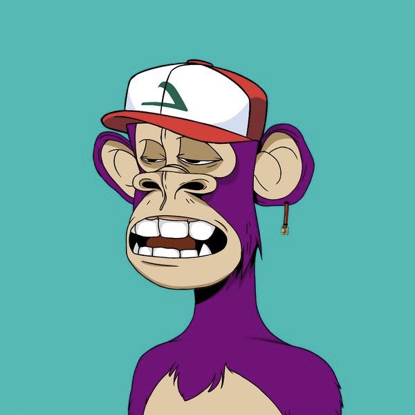 Japanese Born Ape Society tweet media