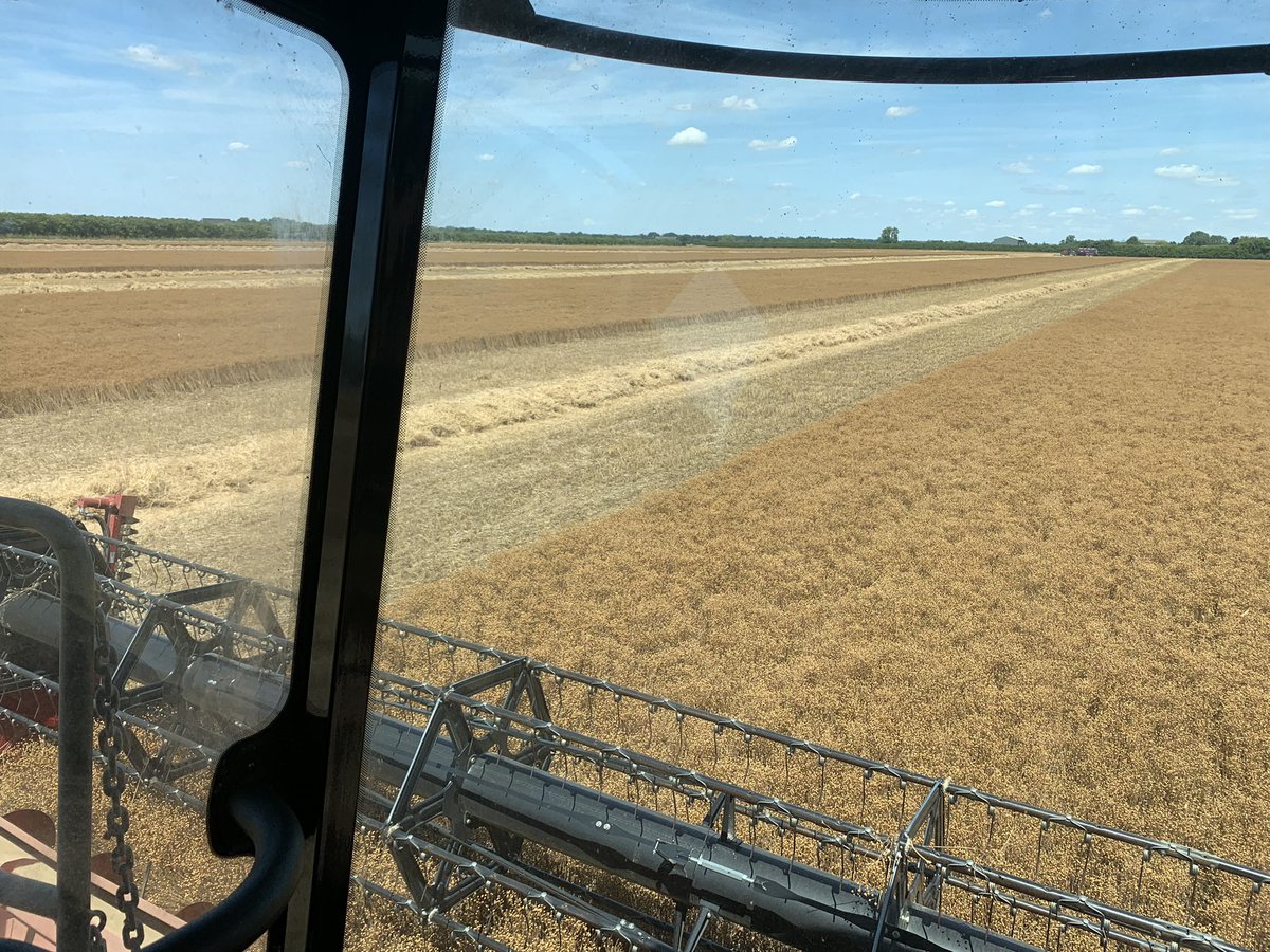 Matt Redman tweet media