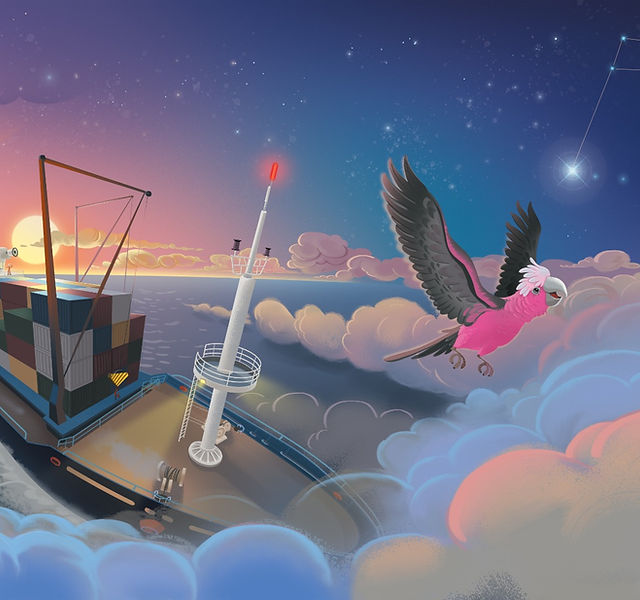 #SailingbyStars
A long tradition that helped us to discover. Still important for #sailors on our oceans; soon enough also for #ships out there!