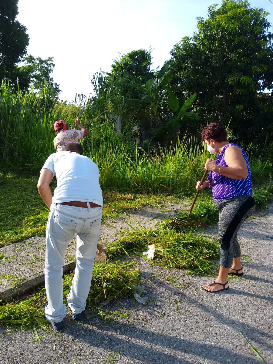 RosaASantaMene1's tweet photo. La Empresa Flora y Fauna Matanzas en trabajo productivo en la comunidad que apadrina, circunscripción 4 de Consejo popular Peñas altas. @SuselyMorfaG @mariofsabines @FlorayFaunaMtz @DirAdjFFMtz #
Matanzas https://t.co/M0ieX7yuRu