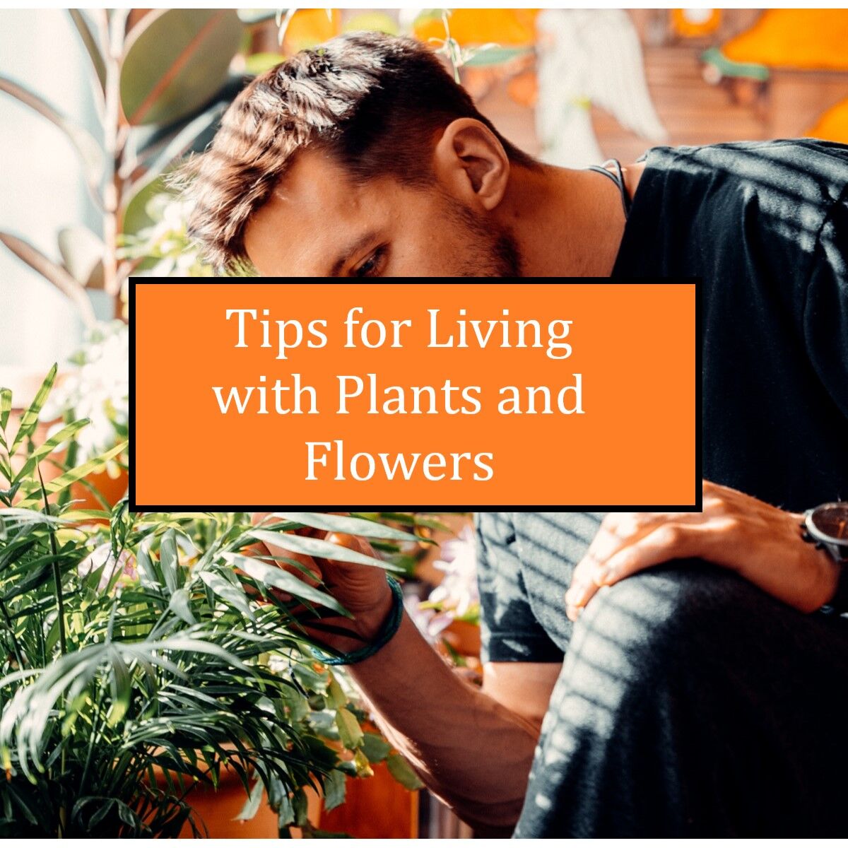 HyggeZone's tweet photo. Plants and flowers not only improve the beauty of your home but also can improve your mental health. Learn how to bring plants and flowers into your home.
https://t.co/vOHjssITVv https://t.co/Mzez85xOkj