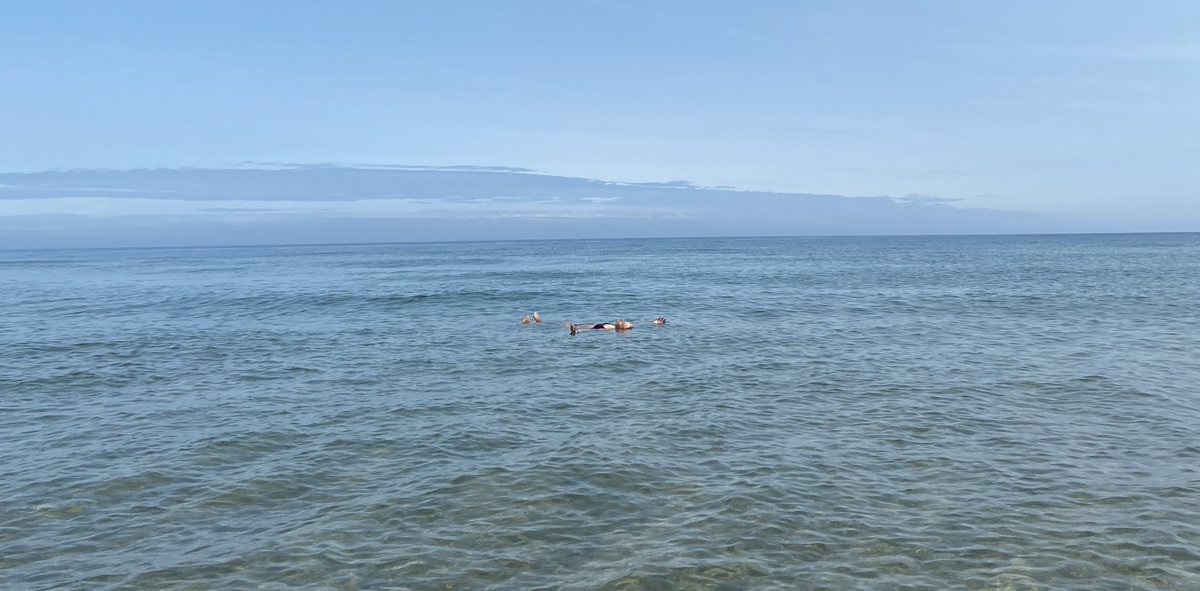 Guiomar Gonzalez tweet media