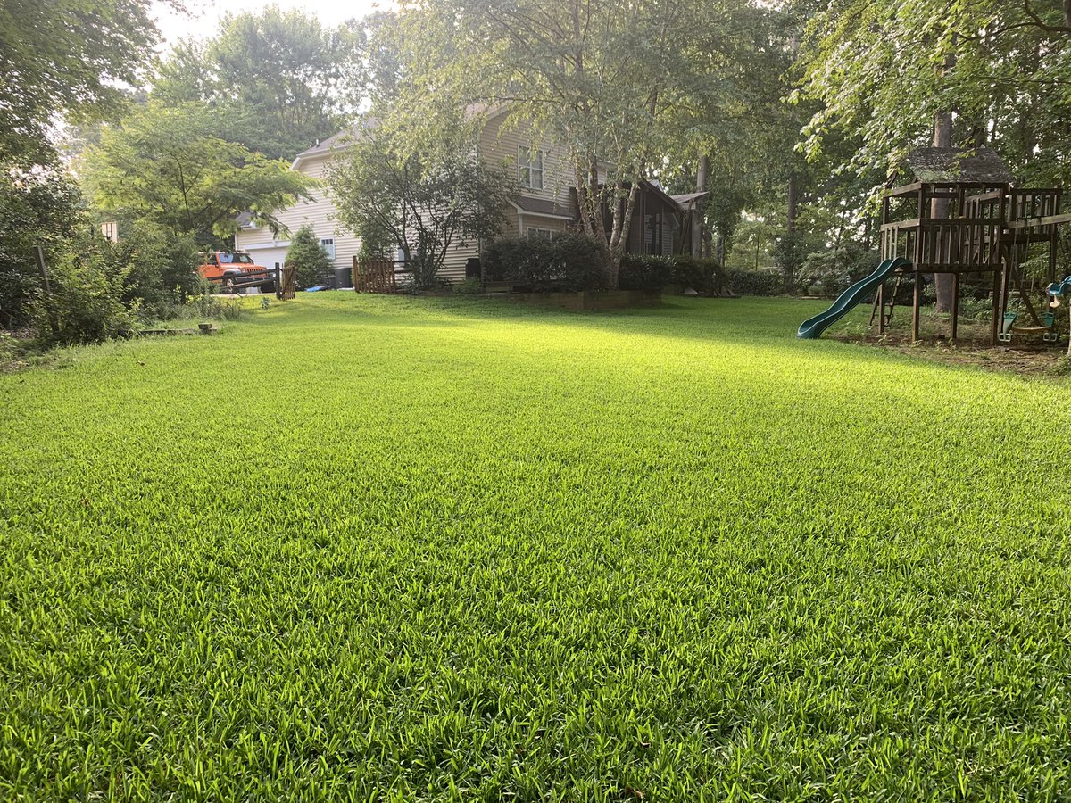 LKNDIY's tweet photo. Hard to beat St Augustine Grass. Hope everyone enjoys their perfect morning (whether you know it’s perfect or not 😉) #turftwitter #diy #perfectineveryway https://t.co/LXVcv7QGJV