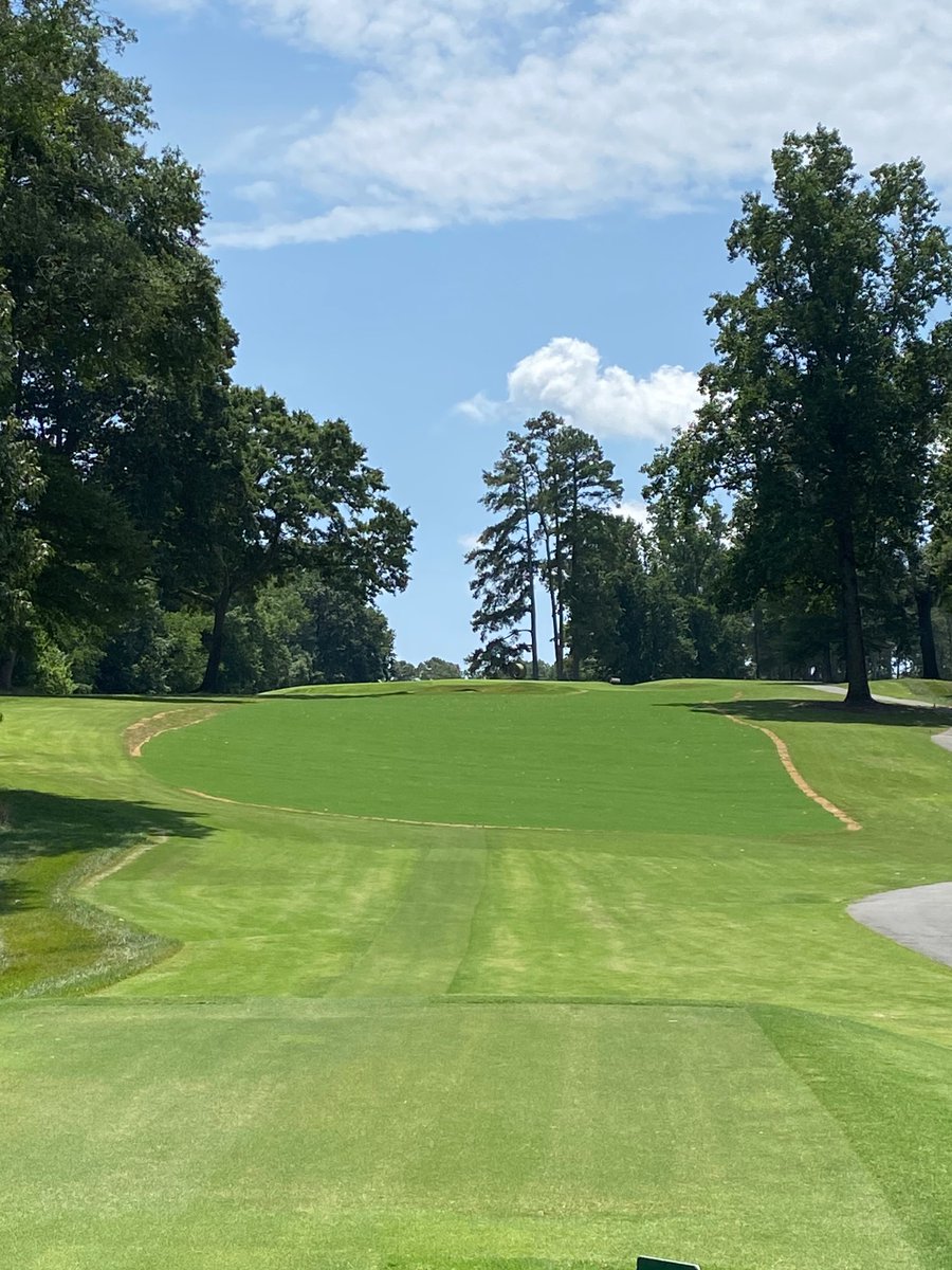 1908Turf's tweet photo. Re-sodded our 11th fairway two weeks ago with @Tahoma31Bermuda and it was rooted in <5 days and mowed for the first time at 6 days. At two weeks old it looks like it’s been there forever. Still amazed at how awesome this grass is every time we use it! #Amazed #BestBermudaEver https://t.co/pd6Fnw61Ow