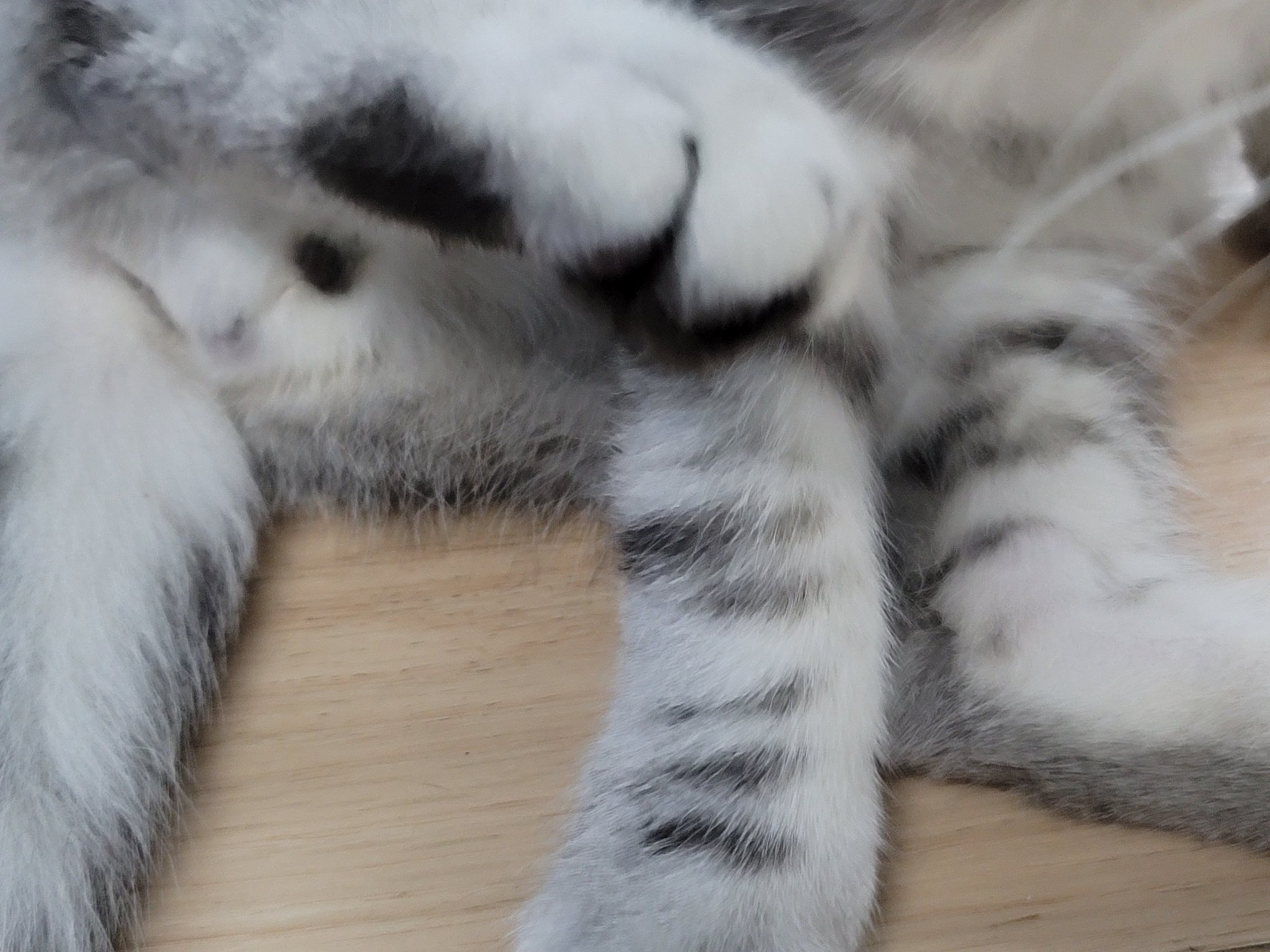 芝士狂熱粉 磁能線發砲機 偶爾詐屍 404poohpooh Twitter