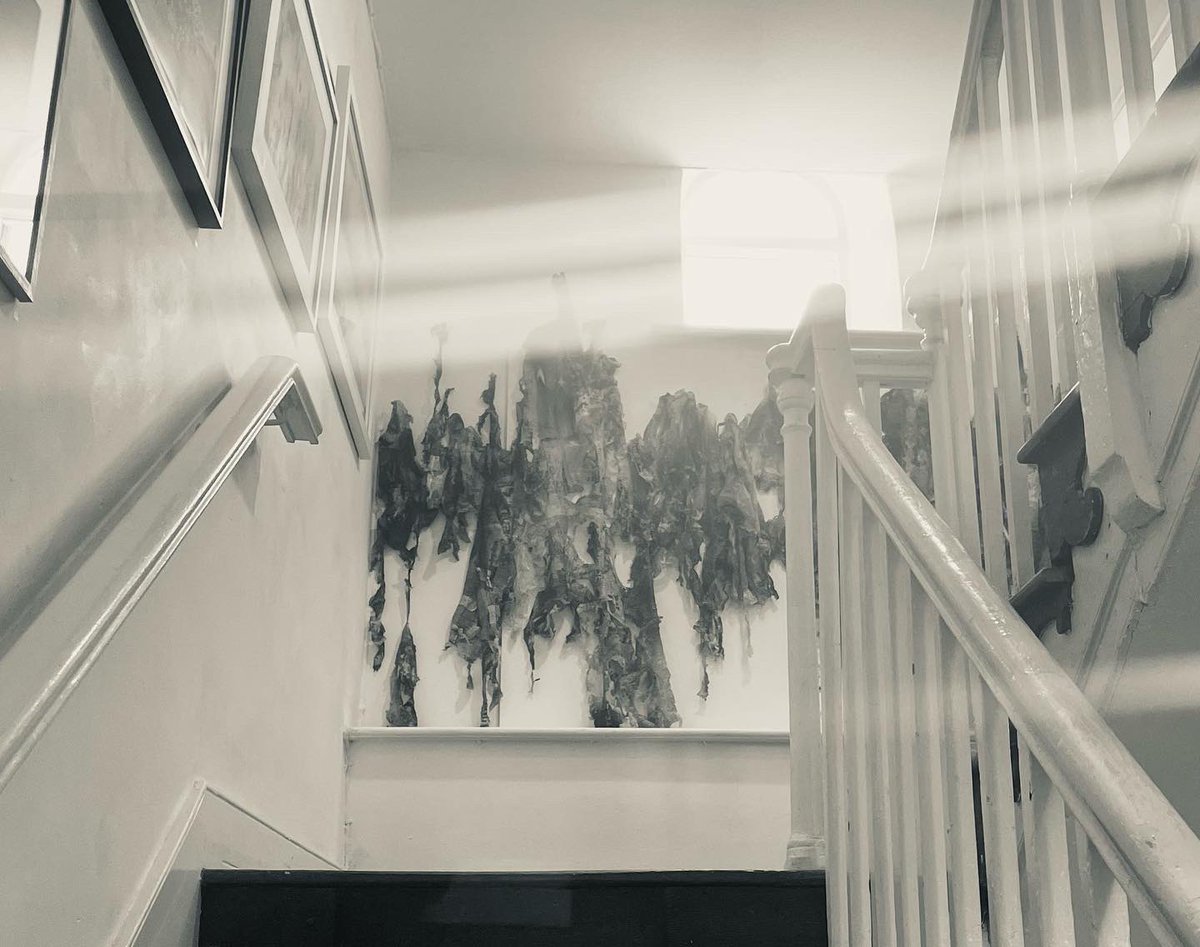 ilona_skladzien's tweet photo. Very excited to have a fragment of my work ‘Loop’ hanging at @blackswanarts as part of Black Swan Arts Open 2022. The exhibition runs till the 11th September @BlackSwanArts  @ace_national #contemporarydrawing #drawinginstallation #yulinfestival #artscouncilengland #frome https://t.co/GguuvMGDKZ