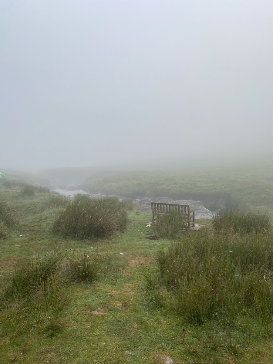 The Cottesloe PE Department tweet media