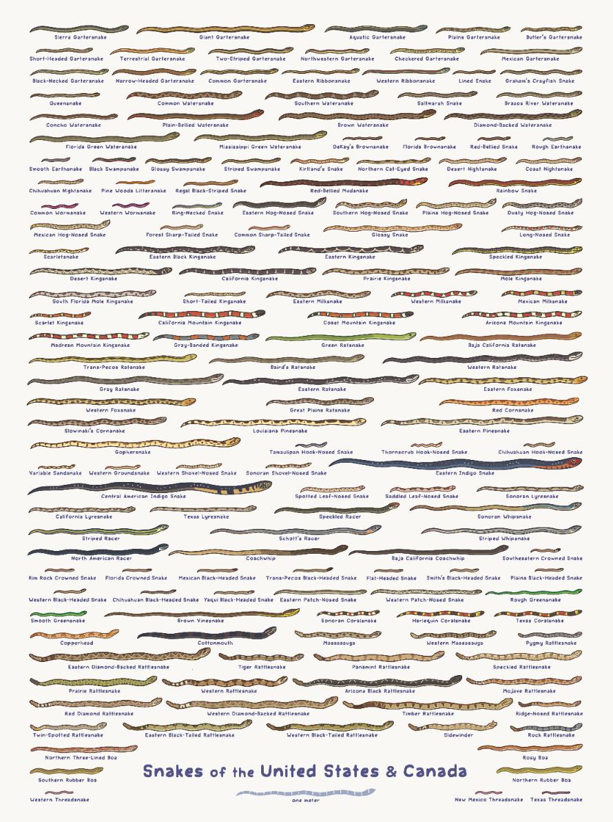 Rosemary Mosco (Bird And Moon Comics) tweet media