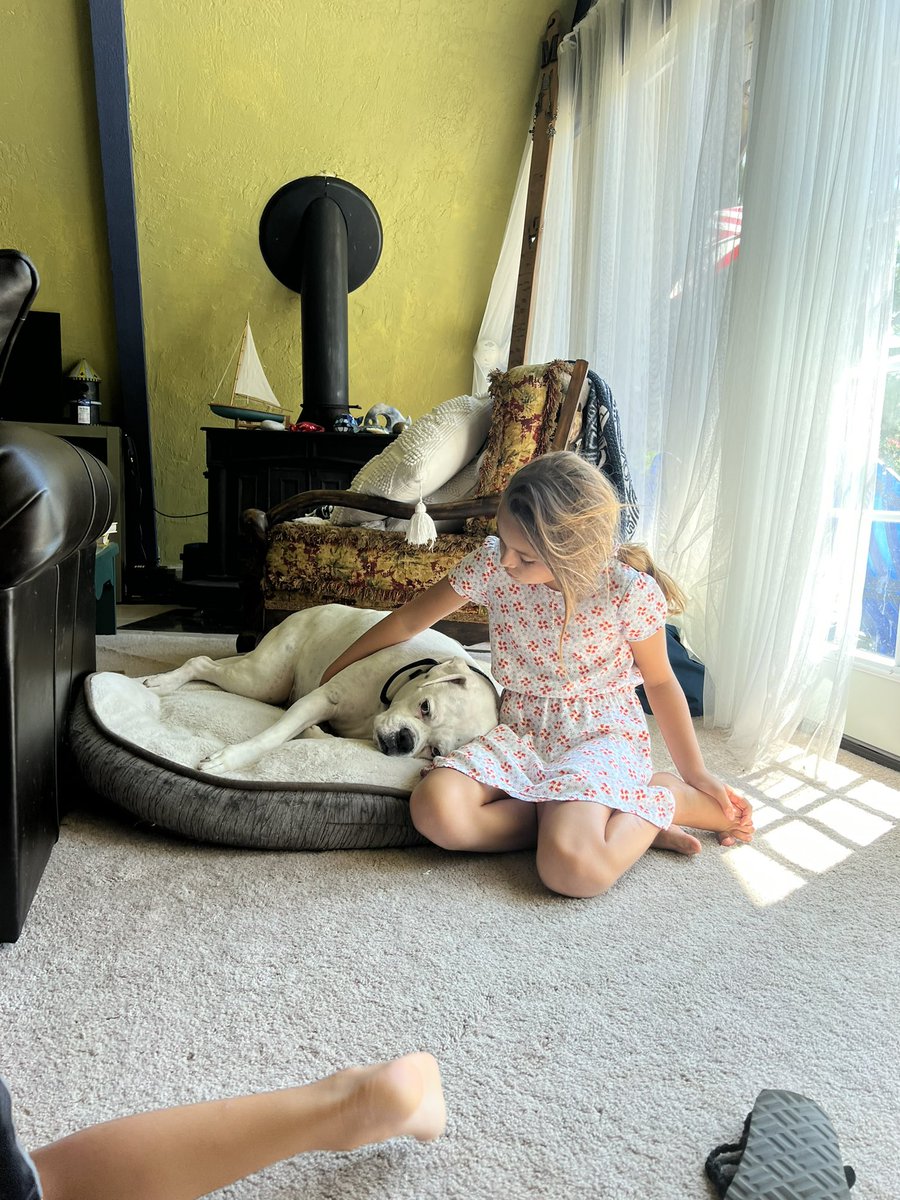 LucyLaneM's tweet photo. A girl &amp; her dog 🐶💜 https://t.co/GcaAhmzf8F