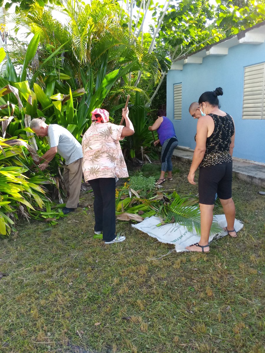 RosaASantaMene1's tweet photo. Flora y Fauna en labores de limpieza en consultorio médico de la circunscripción 4 del csjo popular peñas altas. @SuselyMorfaG @mariofsabines @FlorayFaunaMtz @DirAdjFFMtz . # Matanzas https://t.co/ruHoVTJstR