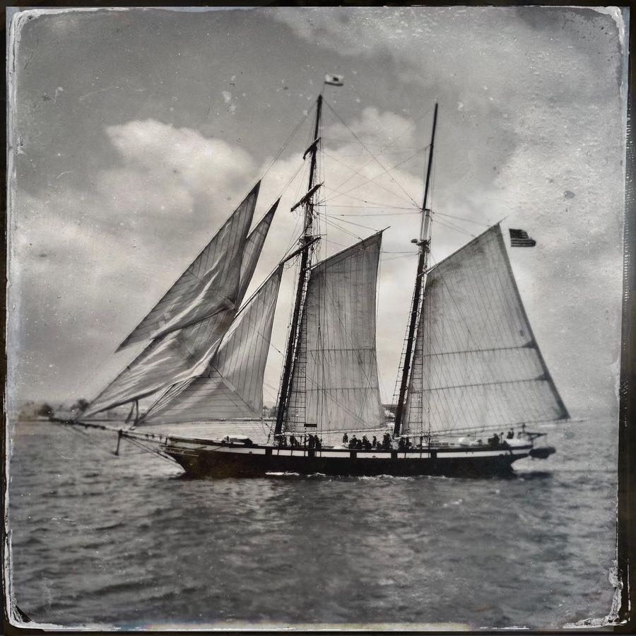 Hipstamatic's tweet photo. “The Californian” by @yembo (https://t.co/GdvS0icm8P)
#Hipstamatic #Tinto1848 #DTypePlate https://t.co/2W2dGC0Nqv