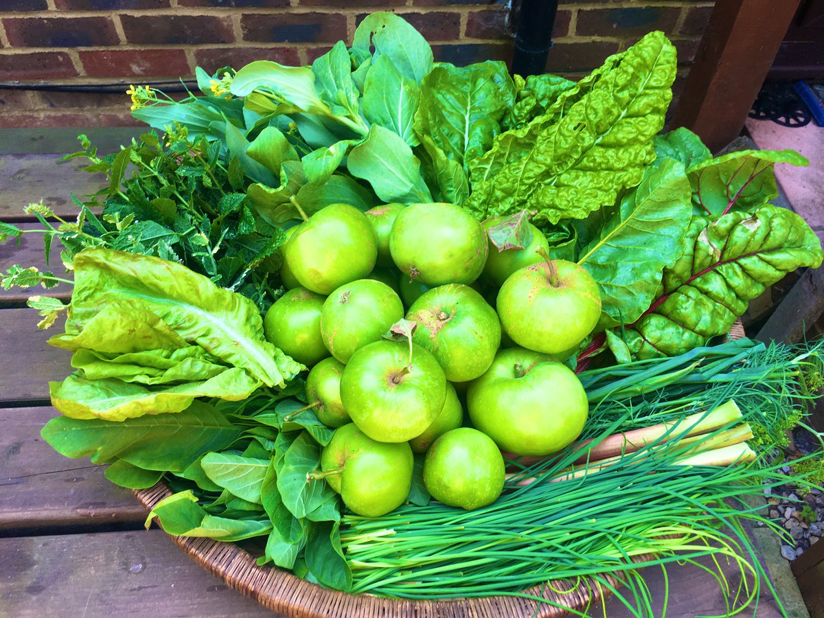 Malebopo's tweet photo. Or a variety basket - Swiss chard, pak choi, lettuce, amaranth, chives, rhubarb, dill, mint, onion leaves &amp; apples. #kitchengarden 🙌🏾 https://t.co/Guvi7ZYcj8