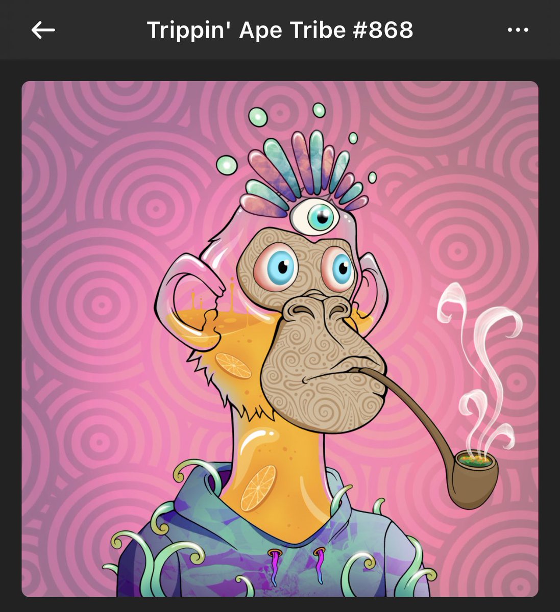 IsaacSpoon1's tweet photo. @oj_dao just got my OJ.  Heard there was a group chat, get me in? @trippinapes #NotACult #OJ #chorles #TaT #TrippinApeNFT #TrippinApeTribe #tribe #TRB https://t.co/ZuCsWcDFdb