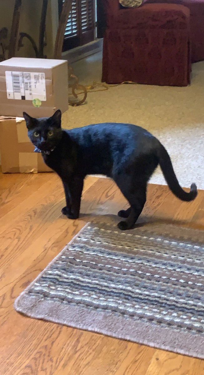 Antoon's World tweet media