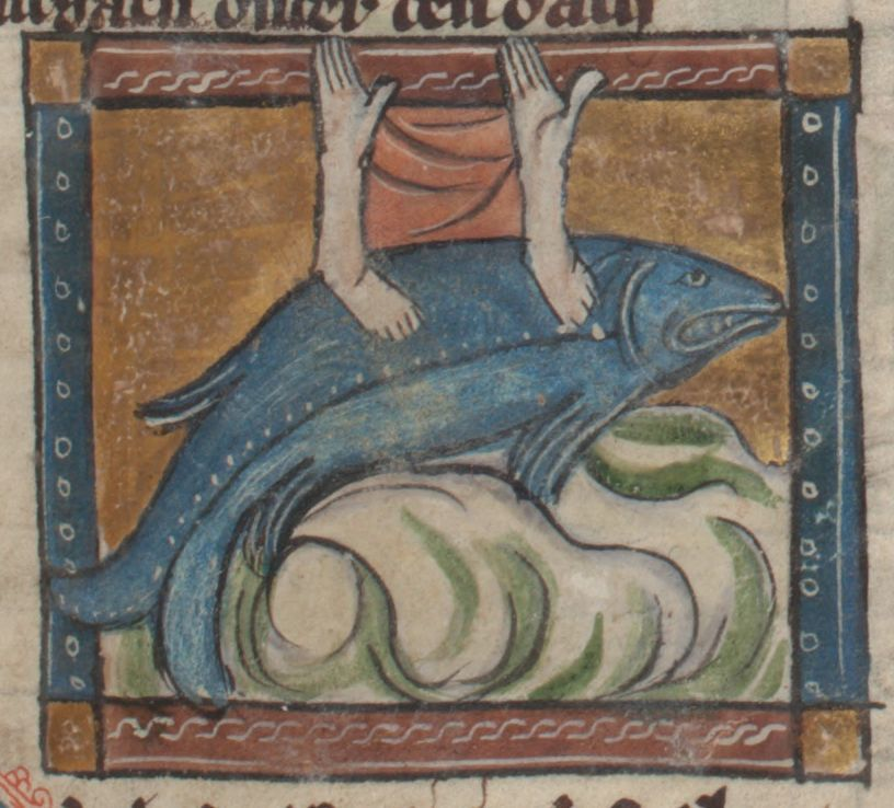 arm fish, netherlands, 13th century