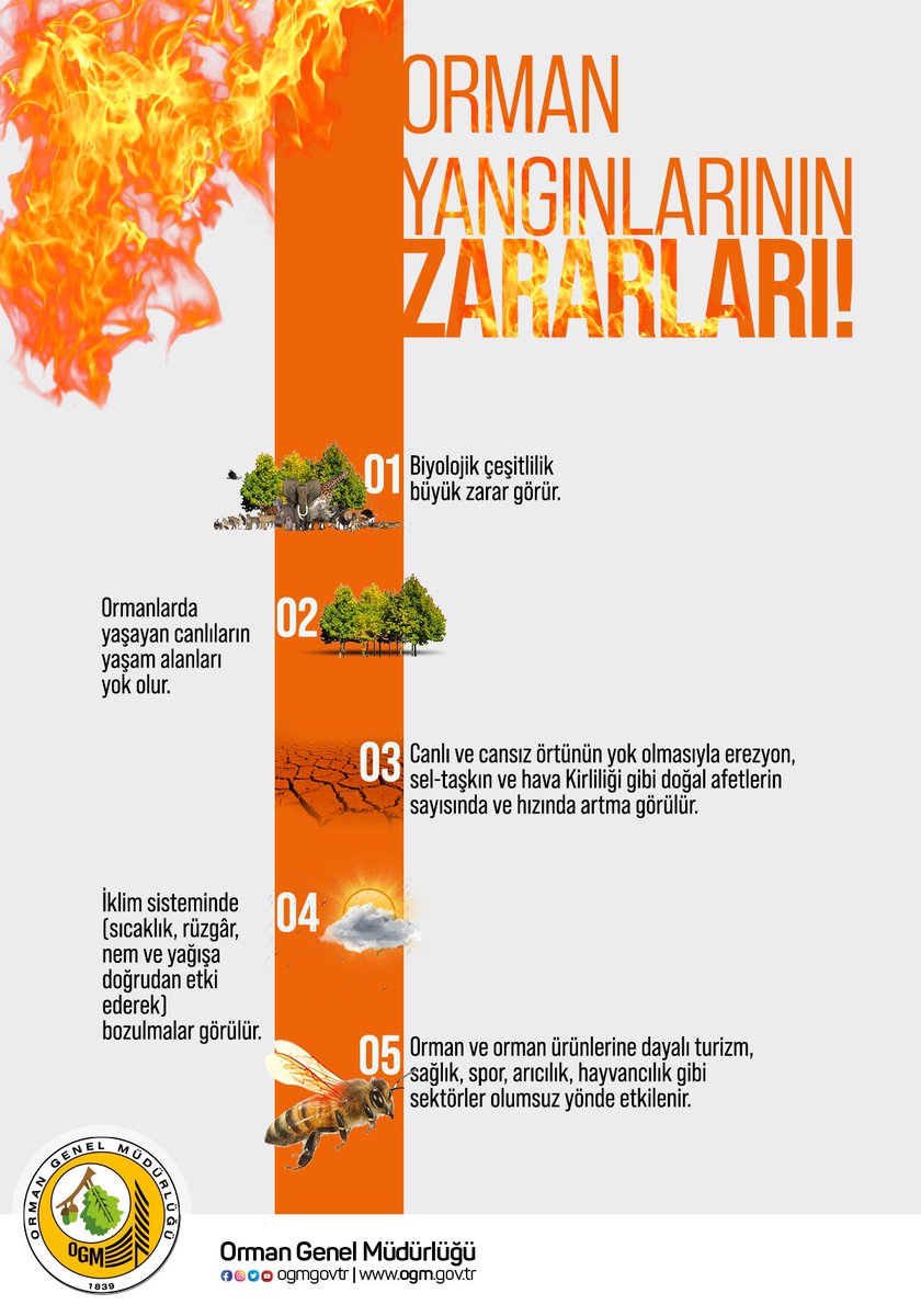 Sıcaklıklar artarken yangın riski de artıyor. Orman yangınları, ekosistemimizde onarılması yıllar süren izler bırakıyor.

Lütfen bu dönem ormanlık alanların yakınında daha dikkatli olalım. Kural basit; ateş yakma, çöp atma yangına #SebepOlma #YangınıÖnle. 💚🌲