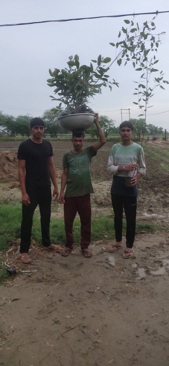 🌲🌳🌴आक्सीजन नर्सरी में पर्यावरण मित्रों को पेड़ पौधों के प्रति जागरूक किया 🌲🌳🌴🙏