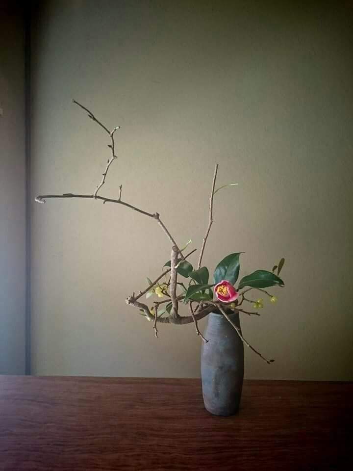 بعضهم كالورد..يبقى جميلاً حتى و إن قطفوه..يُغرينا مظهره أينما وضعوه..و بعضهم كالجرحِ يبقى مؤلمًا حتى و إن ضمّدوه.....