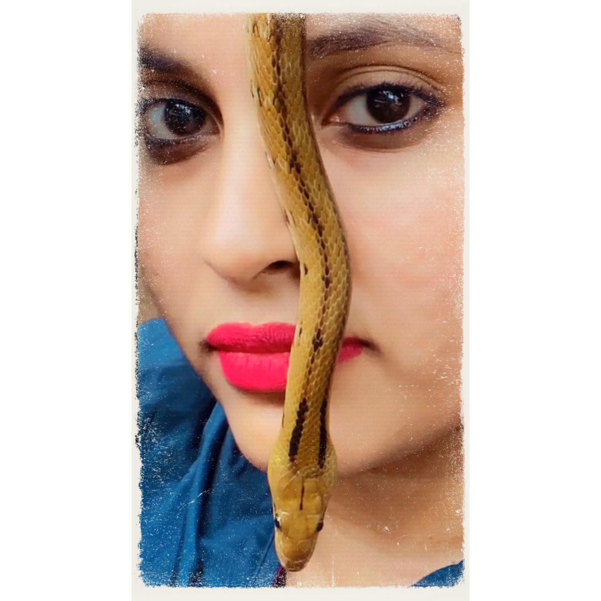 madhurinayak30's tweet photo. Snakes have their role to play in the Ecosystem of the world ..Let Us protect them .. 🐍✨
World Snake Day 🐍💚
#snakes #snakeday #worldsnakeday #rjmadhuri #protectsnakes #venomoussnakes #nonvenomous #snakebite #trending #viral #redfmkannada https://t.co/9G6RhgCyPu