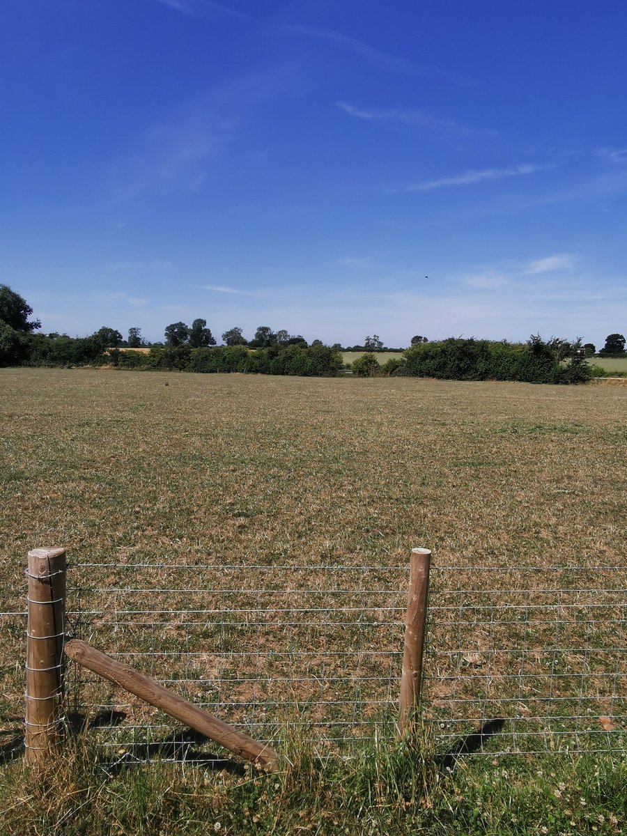 Working on a Saturday is no so bad when this is the setting 👌#homewithaview #beautifulscenery