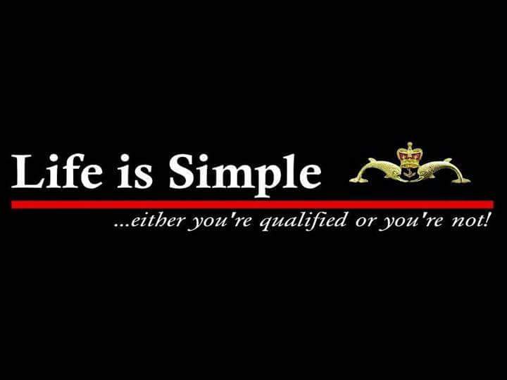 RenownVet21's tweet photo. @LadyRebecca_1 #DeepElite https://t.co/rJgExx2YLr