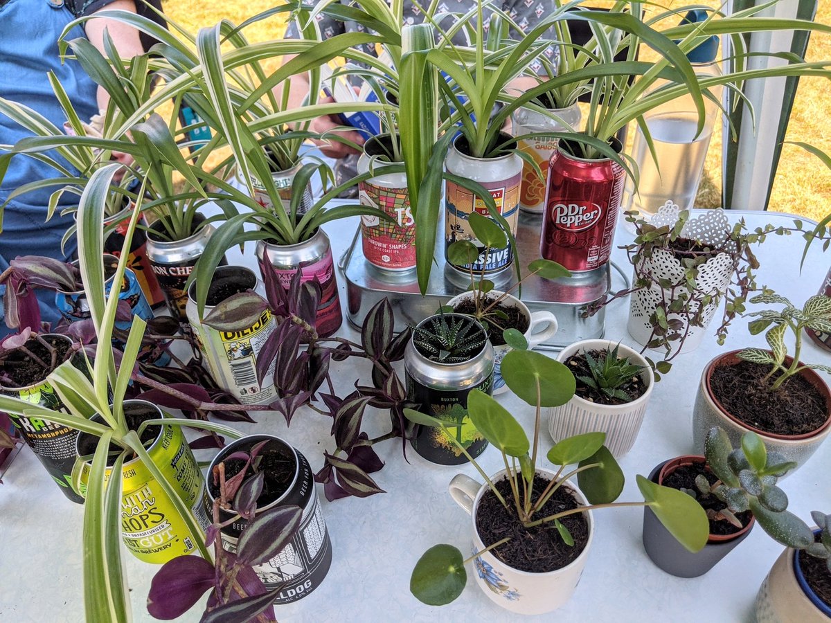 Daughter and friend selling #crafts and #plants #halebarnscarnival #fundraising for #worldscoutjamboree @gmeunit51wsj25 @HaleBarnsEvents #festival #fundraiser #scouts #halebarns