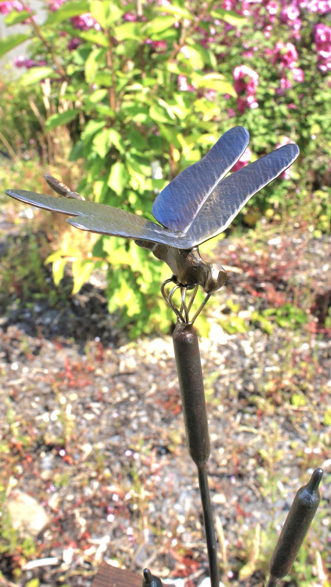 forgednature's tweet photo. Dragonfly on a bulrush. 
Handmade, metal indoor sculpture. 
Available from tomorrow at Murtagh's Organic Farm market from 12PM. N91 KW82. Only 1 available. https://t.co/JaM4l5Ts4z