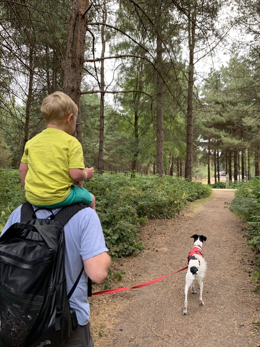 MamMutterings's tweet image. What a lovely way to spend a Friday.