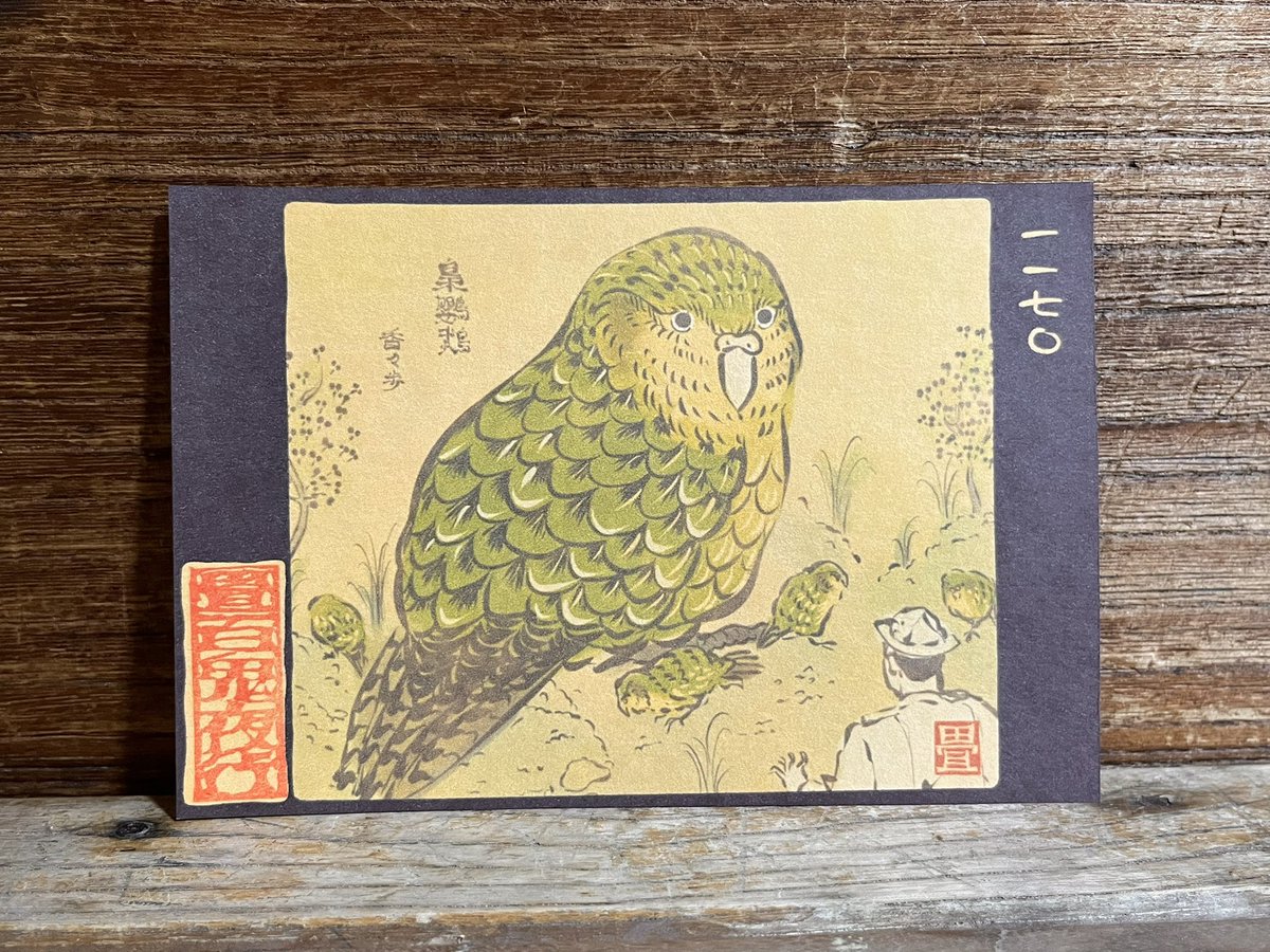 1170番目「梟鸚鵡 香々歩」
でかかぽ。
https://t.co/66SRMqbbGK 