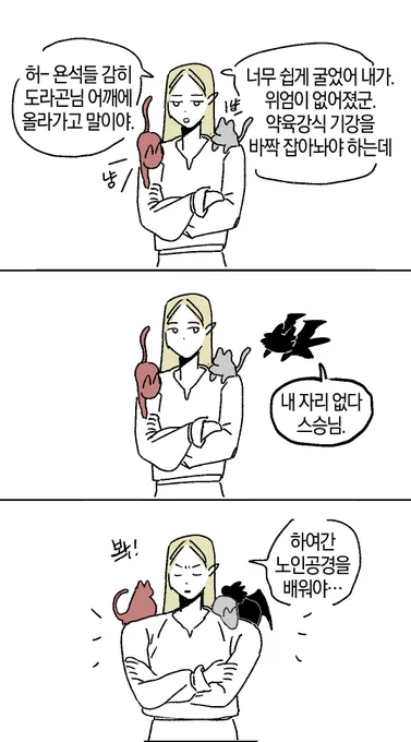 듬직한 어깨 에르하벤 