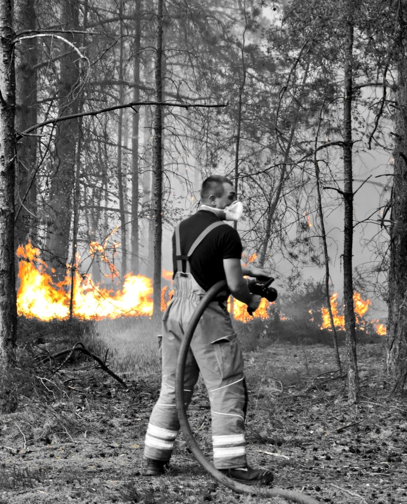 Firesnapper999's tweet photo. Why wouldn't you want to be a #CommunityFirefighter!?π€ #JoinOurFireFamily & make a difference.π
@HantsIOW_fire: https://t.co/6HtIh8uxaG
@SurreyFRS: https://t.co/u0zA4Bebhz
@RBFRSofficial: https://t.co/Uc3y7nfwuc https://t.co/jzhDUokuaB
