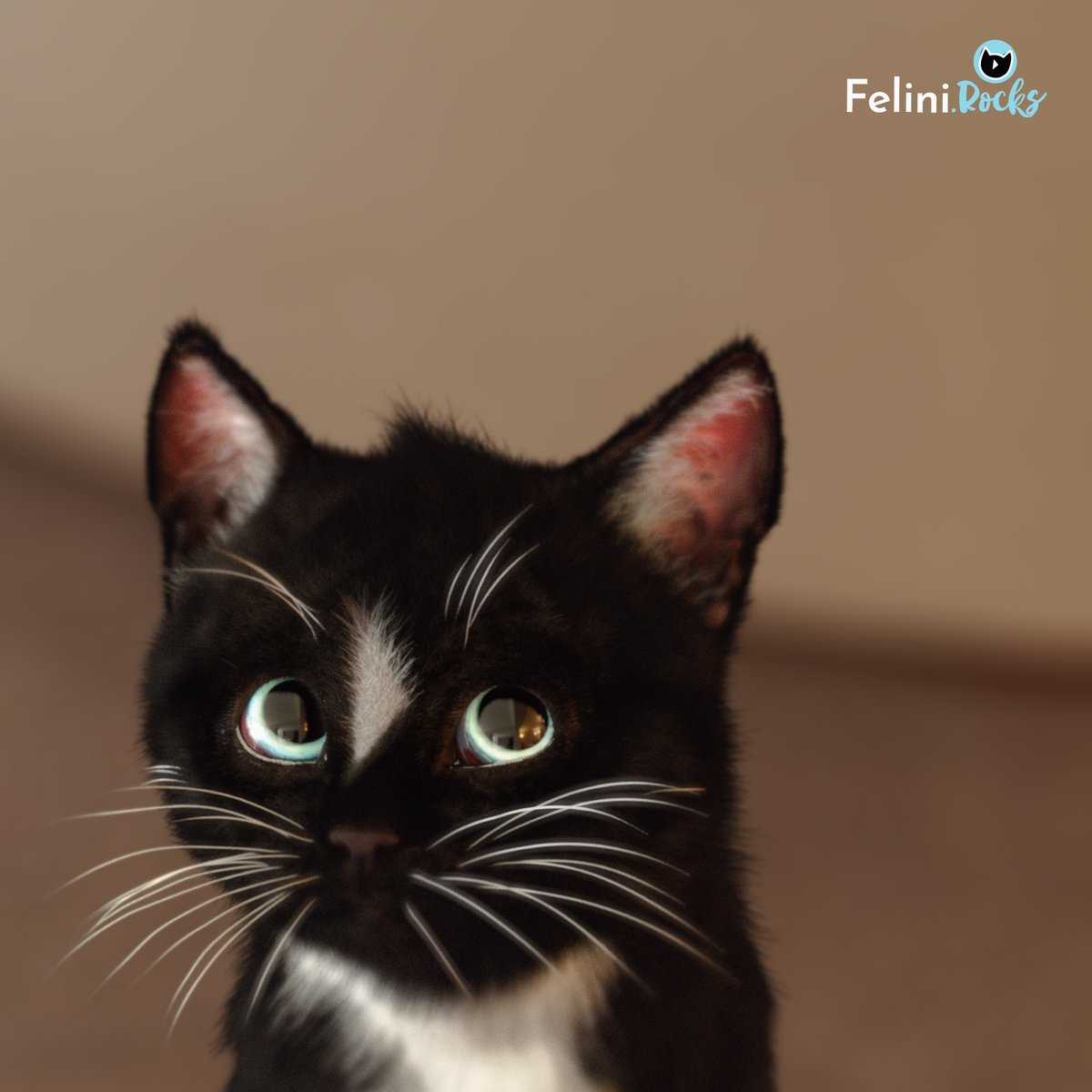 FeliniRocks's tweet photo. To nap or not to nap, that is the question...
#lolcats #lolpets #cats #kitty #caturday #CatsOfTwitter https://t.co/B5ze1wtGCP