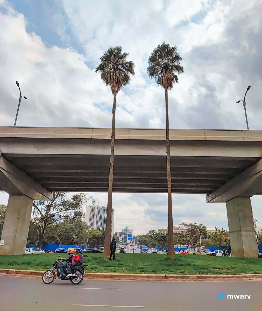 They're some of the only palm trees that survived the Express Way construction. We should honour them by naming where they stand Twin Palms Roundabout.
