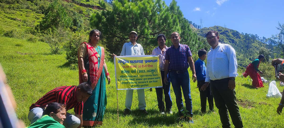 drmanojjoshi89's tweet photo. Tree plantation by deputy cvo pithoragarh and vo sadar pithoragarh on eve harela in grassland developed by dept AH under NLM https://t.co/Uf8B1WoJjE