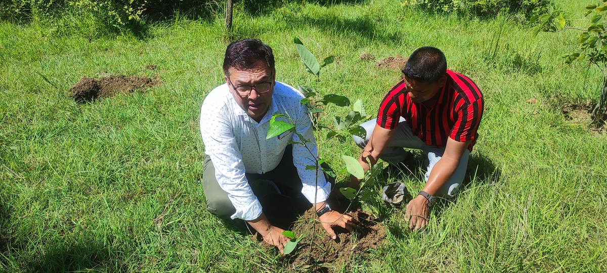drmanojjoshi89's tweet photo. Tree plantation by deputy cvo pithoragarh and vo sadar pithoragarh on eve harela in grassland developed by dept AH under NLM https://t.co/Uf8B1WoJjE