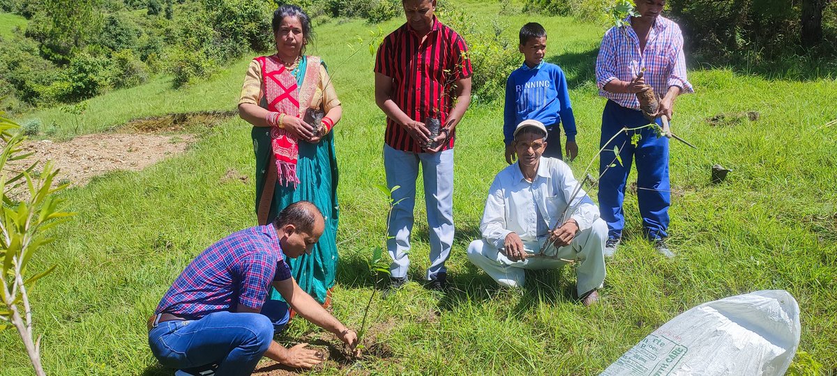 drmanojjoshi89's tweet photo. Tree plantation by deputy cvo pithoragarh and vo sadar pithoragarh on eve harela in grassland developed by dept AH under NLM https://t.co/Uf8B1WoJjE