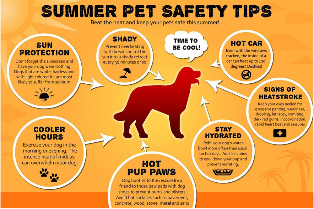 It is so hot out there &amp; it will be even hotter soon. Those sun puddles will burn.
Please take care of those with FUR plenty of shade &amp; cool water
&amp; please check outbuildings so you don't lock any animal into a shed or garage by mistake &amp; avoid them getting heat stroke #heatwave