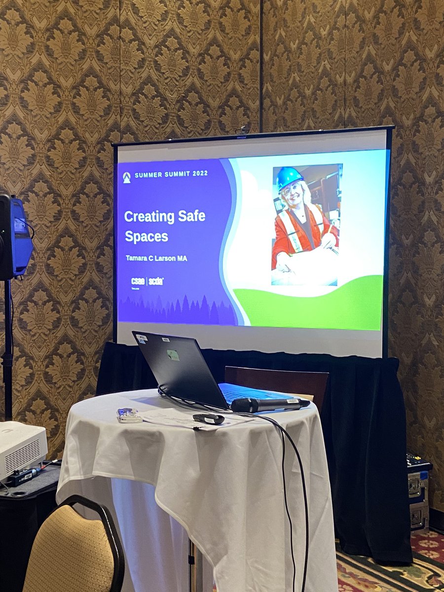 LarsonTamarac's tweet photo. Thank you @CSAETrillium for the opportunity to connect, learn, share and grow. Was an honor to work with colleagues to create action plans as we build safe spaces in our organizations. #psychologicalsafety #inclusiveleadership #changemaker #upstander #actionscount #humanrights https://t.co/qYxq5bABvx