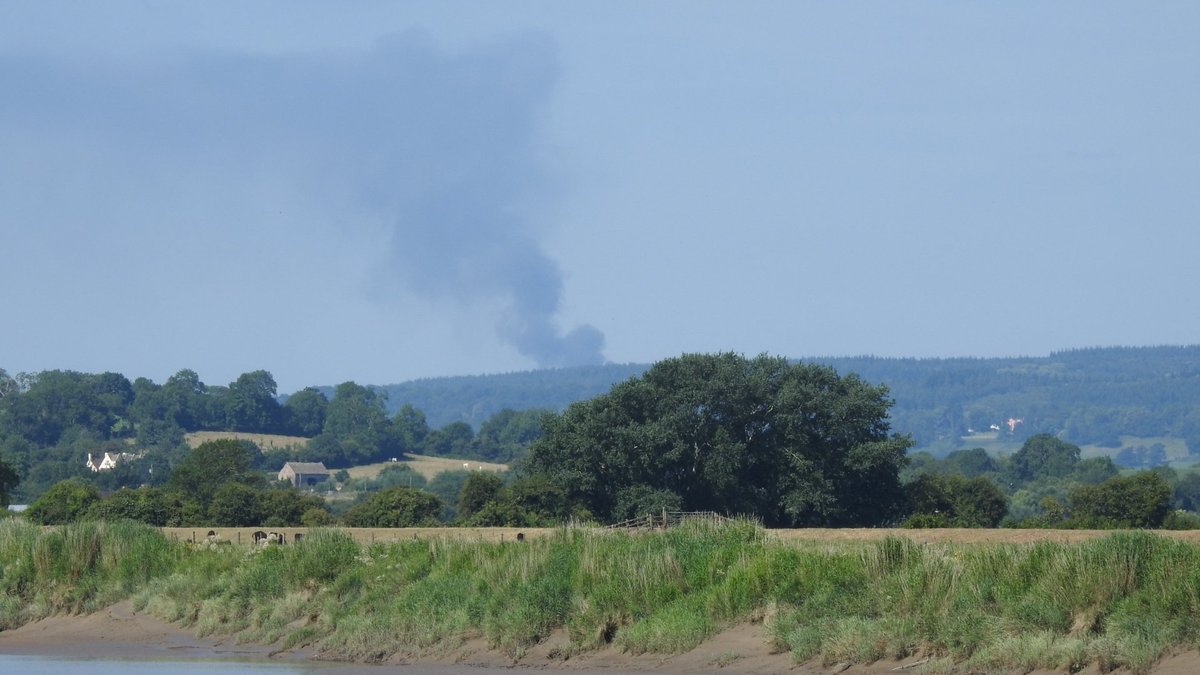 Ralphs_Ian's tweet photo. Not a part of #GloriousGlos I know very well, but with fires in the forest the #SevernBore and a couple of cracking birds, Caspian Tern and Turtle Dove, turned into a top morning in the heart of the county #Epney #GlosBirds https://t.co/rBwZcGevn8