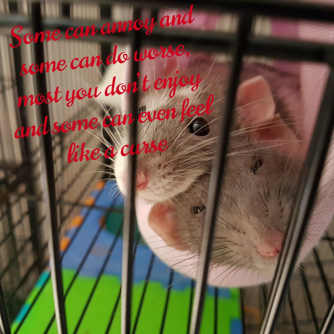 4efuPodcast's tweet photo. Are you able to guess what this riddle is about? do you need a hint?

#4efu #4efupod #4efpodcast #podcast #podcaster #upandcoming #podcastlife #spotifypodcasts #riddleoftheweek #riddlemethis #humorme #annoyance https://t.co/OHmkvFIl1w