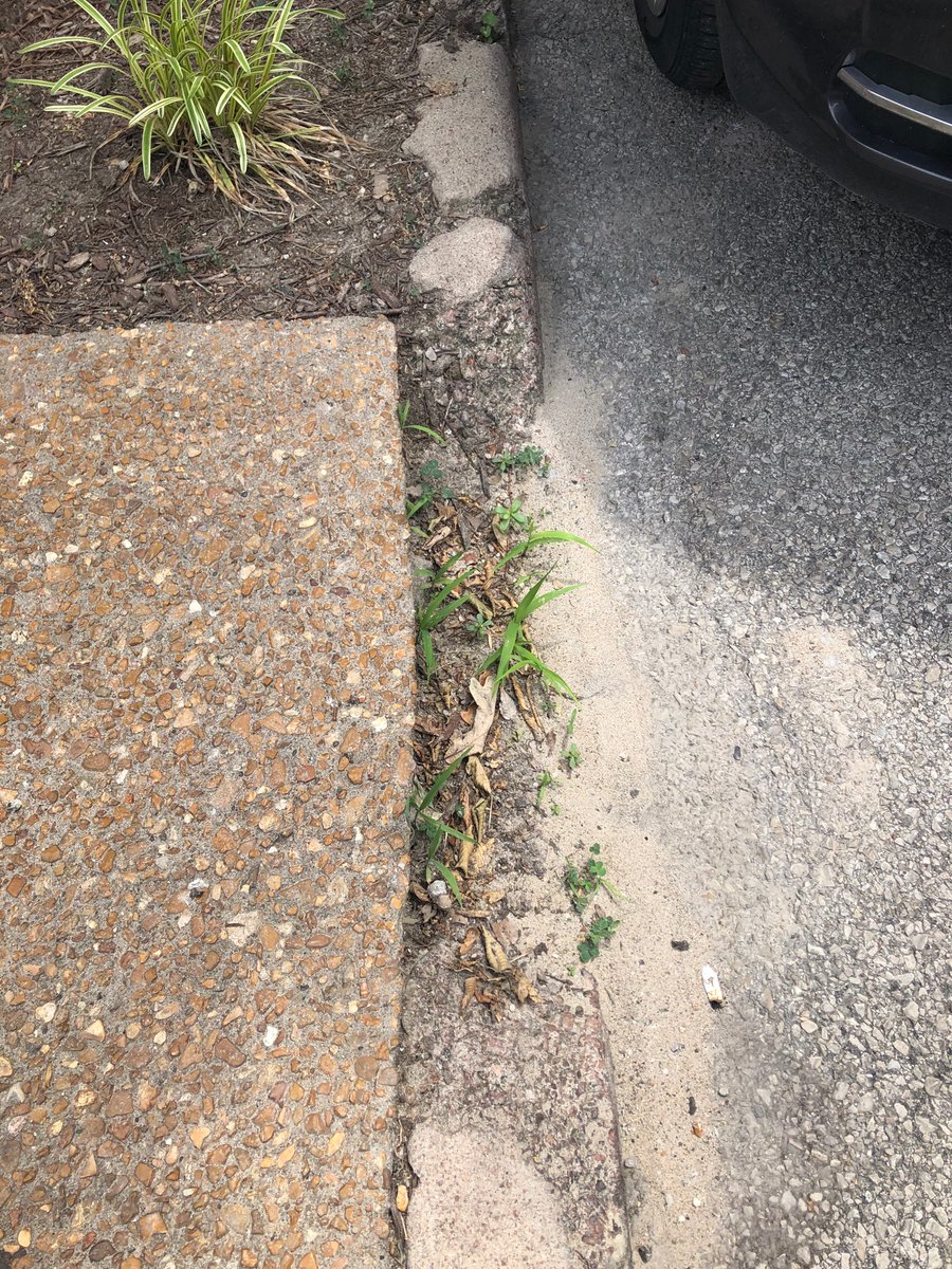 CurlsByCass's tweet photo. @stlcsb large sections of the curb are missing from 1959 Cherokee Street &amp; Wisconsin Ave.  Along Wisconsin Ave. https://t.co/DroAO7AhkR