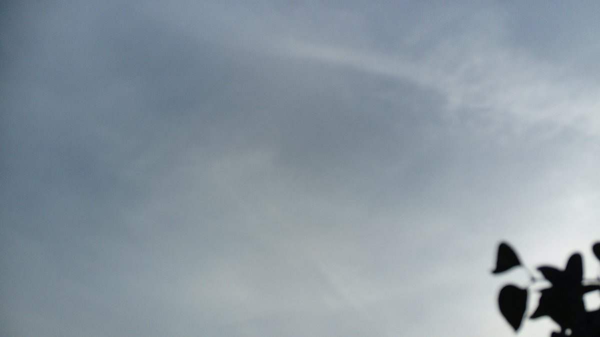 EternalEnglish's tweet photo. Why is the sky a sickly white, instead of deep blue? 

#chemtrails https://t.co/SxQyApRB8l